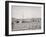 Drying Fish, Gloucester, Mass.-null-Framed Photo