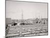 Drying Fish, Gloucester, Mass.-null-Mounted Photo