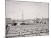 Drying Fish, Gloucester, Mass.-null-Mounted Photo