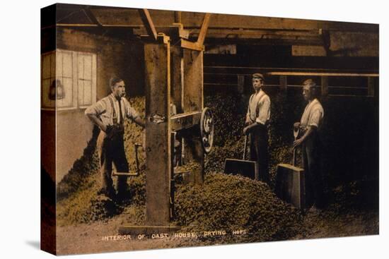 Drying Hops 1906-null-Stretched Canvas