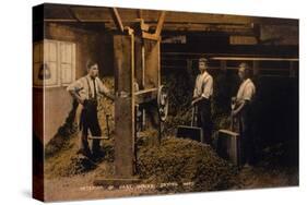 Drying Hops 1906-null-Stretched Canvas