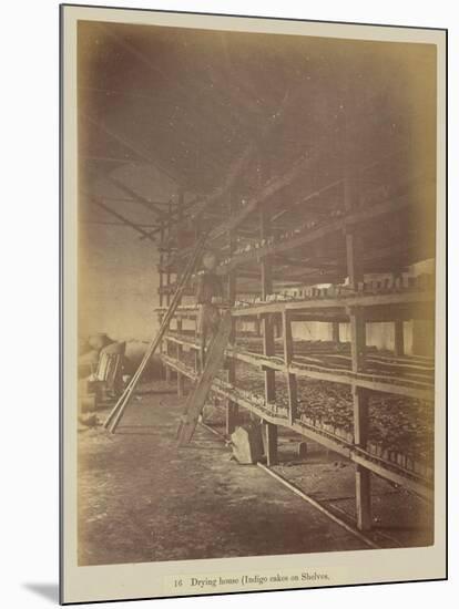 Drying house , 1877-Oscar Jean Baptiste Mallitte-Mounted Giclee Print