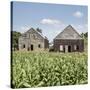 Drying House on a Tobacco Plantation, Pinar Del Rio Province, Cuba-Jon Arnold-Stretched Canvas