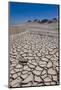 Drying Mud Stream Originating from a Mud Volcano, Qobustan, Azerbaijan-Michael Runkel-Mounted Photographic Print