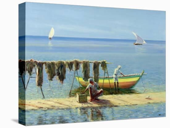 Drying Nets: Abu Dhabi-Edward Dawson-Stretched Canvas