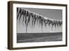 Drying Octopus Arms on Nisyros Island, Traditional Greek Seafood Prepared on a Grill, Greece-Jiri Vavricka-Framed Photographic Print