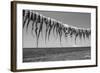 Drying Octopus Arms on Nisyros Island, Traditional Greek Seafood Prepared on a Grill, Greece-Jiri Vavricka-Framed Photographic Print