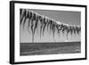 Drying Octopus Arms on Nisyros Island, Traditional Greek Seafood Prepared on a Grill, Greece-Jiri Vavricka-Framed Photographic Print