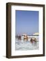 Drying Octopus, Mandrakia Village, Milos Island, Cyclades Group, Greek Islands, Greece-Richard Maschmeyer-Framed Photographic Print