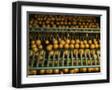 Black Frame