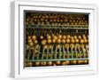 White Frame
