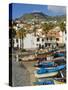 Drying Salt Cod (Bacalhau) and Fishing Boats in the Coast Harbour of Camara De Lobos, Portugal-Neale Clarke-Stretched Canvas