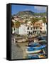 Drying Salt Cod (Bacalhau) and Fishing Boats in the Coast Harbour of Camara De Lobos, Portugal-Neale Clarke-Framed Stretched Canvas