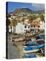 Drying Salt Cod (Bacalhau) and Fishing Boats in the Coast Harbour of Camara De Lobos, Portugal-Neale Clarke-Stretched Canvas