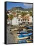 Drying Salt Cod (Bacalhau) and Fishing Boats in the Coast Harbour of Camara De Lobos, Portugal-Neale Clarke-Framed Stretched Canvas