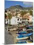 Drying Salt Cod (Bacalhau) and Fishing Boats in the Coast Harbour of Camara De Lobos, Portugal-Neale Clarke-Mounted Photographic Print