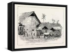 Drying Sheds for Tobacco, Sumatra, Indonesia, 1890-null-Framed Stretched Canvas