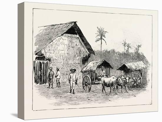 Drying Sheds for Tobacco, Sumatra, Indonesia, 1890-null-Stretched Canvas