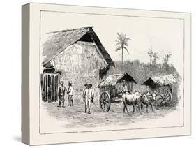 Drying Sheds for Tobacco, Sumatra, Indonesia, 1890-null-Stretched Canvas