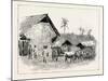 Drying Sheds for Tobacco, Sumatra, Indonesia, 1890-null-Mounted Giclee Print