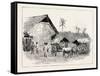 Drying Sheds for Tobacco, Sumatra, Indonesia, 1890-null-Framed Stretched Canvas