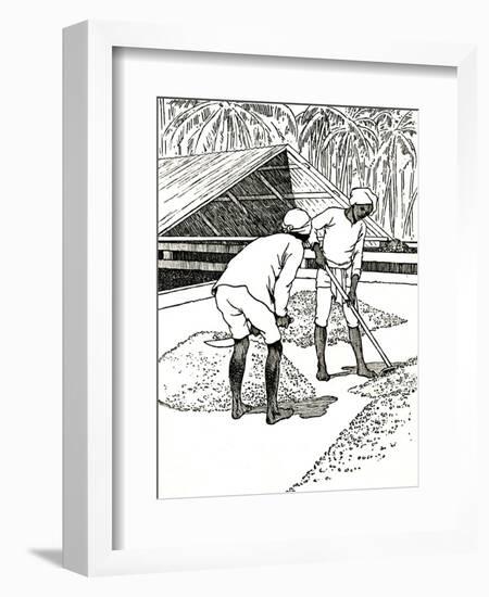 'Drying the Cocoa', 1912-Charles Robinson-Framed Giclee Print