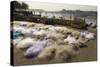 Drying the Nets at the Fishing Harbour on the Daman Ganga River, Daman, Gujarat, India, Asia-Tony Waltham-Stretched Canvas