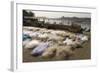 Drying the Nets at the Fishing Harbour on the Daman Ganga River, Daman, Gujarat, India, Asia-Tony Waltham-Framed Photographic Print