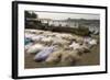 Drying the Nets at the Fishing Harbour on the Daman Ganga River, Daman, Gujarat, India, Asia-Tony Waltham-Framed Photographic Print