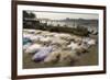 Drying the Nets at the Fishing Harbour on the Daman Ganga River, Daman, Gujarat, India, Asia-Tony Waltham-Framed Photographic Print