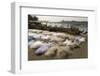 Drying the Nets at the Fishing Harbour on the Daman Ganga River, Daman, Gujarat, India, Asia-Tony Waltham-Framed Photographic Print