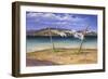 Drying the Whites, 2004-Anthony Rule-Framed Giclee Print