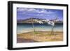 Drying the Whites-Anthony Rule-Framed Giclee Print