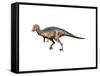 Dryosaurus Dinosaur-null-Framed Stretched Canvas