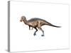 Dryosaurus Dinosaur-null-Stretched Canvas