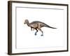 Dryosaurus Dinosaur-null-Framed Art Print