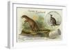 Dryptosaurus and Kangaroo-null-Framed Giclee Print