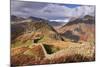 Drystone Wall on Lingmoor Fell Looks Towards Side Pike and Langdale Valley, Lake District, Cumbria-Adam Burton-Mounted Photographic Print