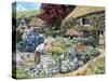 Drystone Walling-Trevor Mitchell-Stretched Canvas