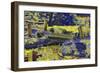 DSC-0200-Tom Kelly-Framed Photographic Print