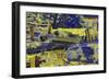 DSC-0200-Tom Kelly-Framed Photographic Print