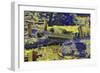 DSC-0200-Tom Kelly-Framed Photographic Print