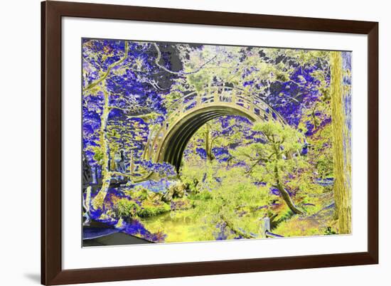 DSC-0213-Tom Kelly-Framed Photographic Print