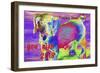 _DSC0001 (2)-Tom Kelly-Framed Giclee Print