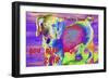 _DSC0001 (2)-Tom Kelly-Framed Giclee Print