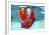 _DSC0004 (3)-Tom Kelly-Framed Giclee Print