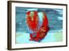 _DSC0004 (3)-Tom Kelly-Framed Giclee Print