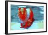 _DSC0004 (3)-Tom Kelly-Framed Giclee Print