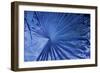 _DSC0007-Tom Kelly-Framed Giclee Print