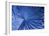 _DSC0007-Tom Kelly-Framed Giclee Print